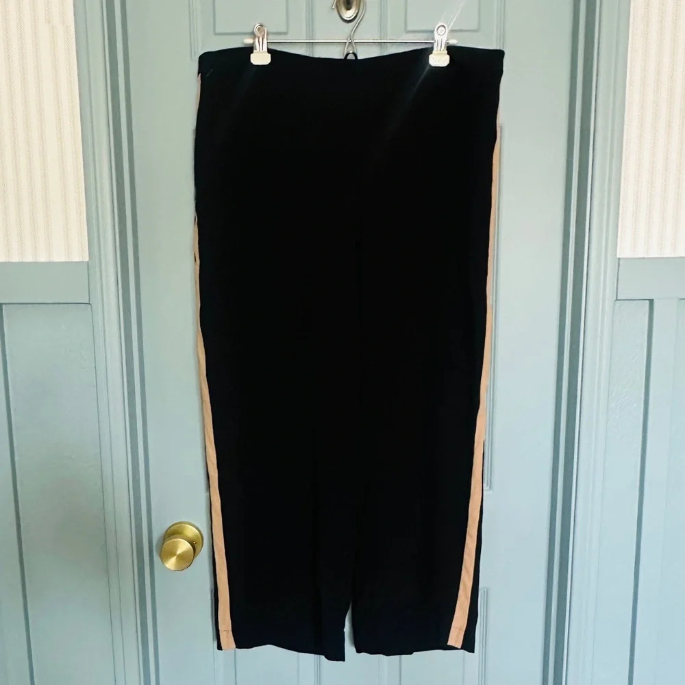 Eileen Fisher Women’s 100% Silk Georgette Black Wide Leg Pants - Picture 2 of 16